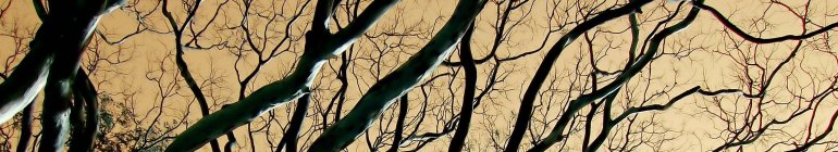 Public Republic my-art page header image