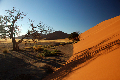 Sossusvlei National Park Sossusvlei National Park