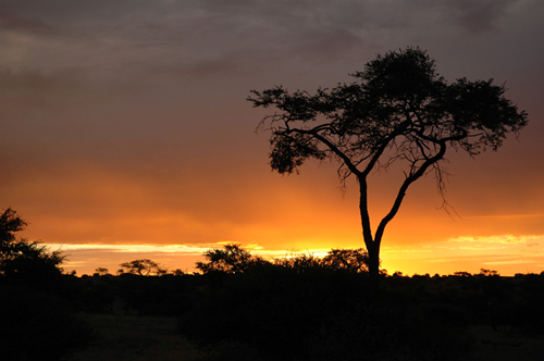 Sunset Sunset