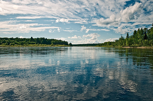 Reflection