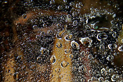 Spider Web Water Drops