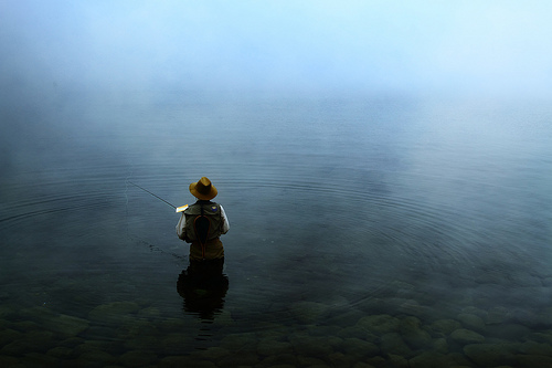 fog
