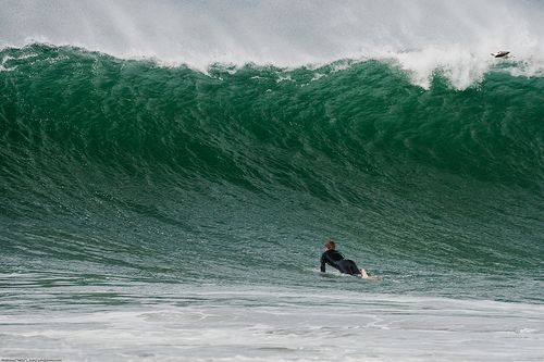 Lone surfer at Morro Rock - Big wave day in Morro Bay, CA, 08 No