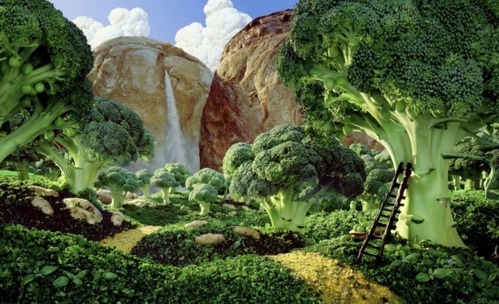 broccoli forest