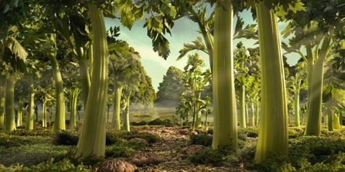 celery forest