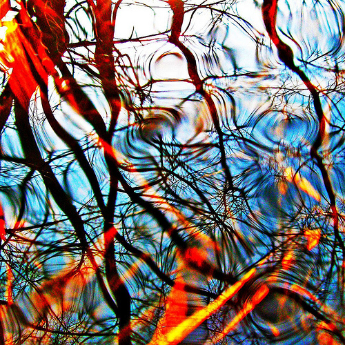 rippling surface of shallow water mirrors branches & sunlight
